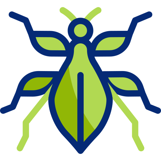 Bug
